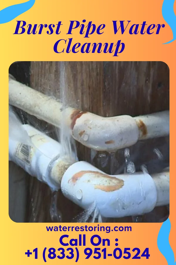 Burst Pipe Water Cleanup in St. Joe, AR