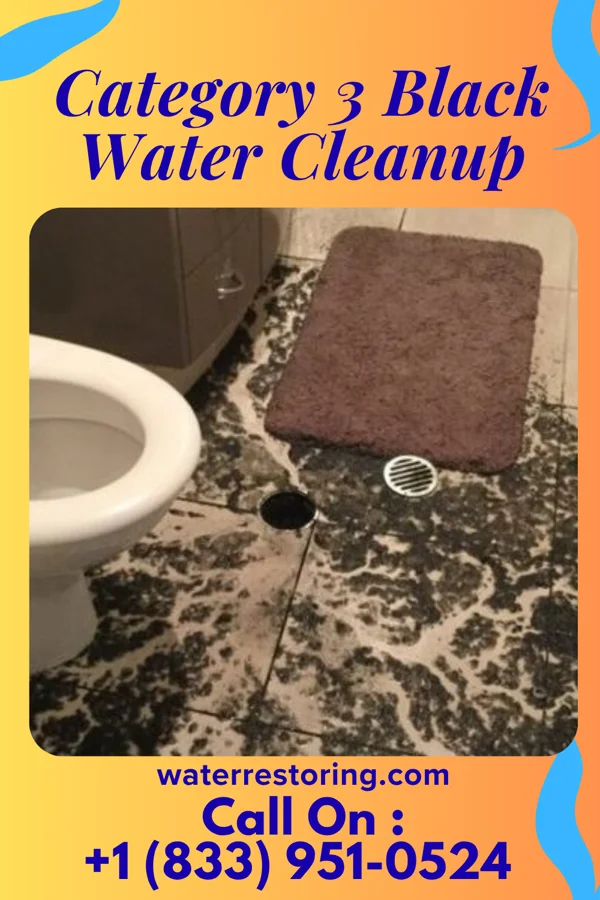 Category 3 Black Water Cleanup in St. Joe, AR