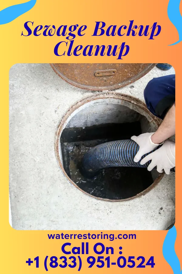 Sewage Backup Cleanup in St. Joe, AR